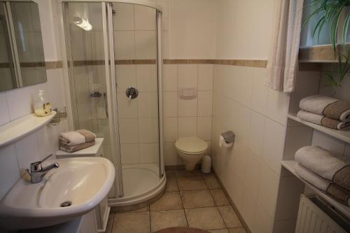 a bathroom with a shower and a sink and a toilet at Ferienwohnung Bücker in Schmallenberg