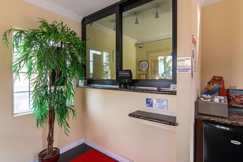 uma sala de espera com um espelho e um vaso de plantas em Econo Lodge Long Beach I-405 em Long Beach