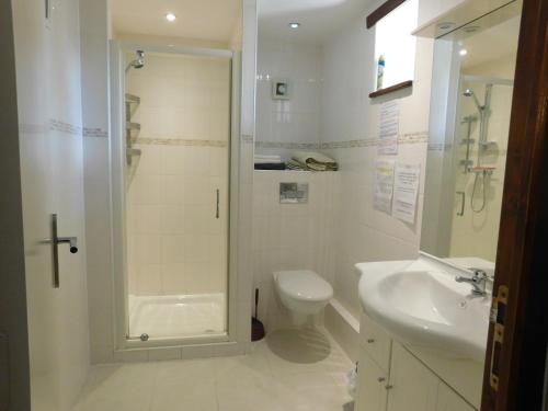 a bathroom with a shower and a toilet and a sink at Le Cormier in Obterre