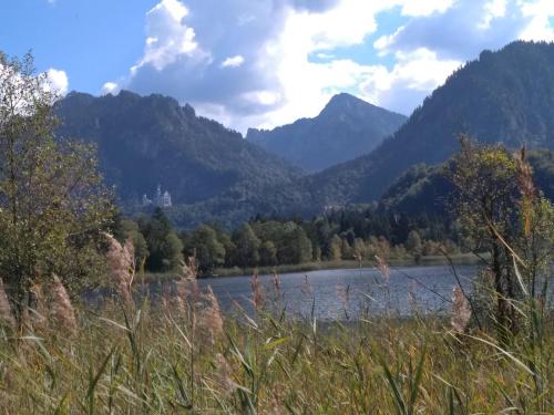 Natuurlandschap vlak bij het appartement