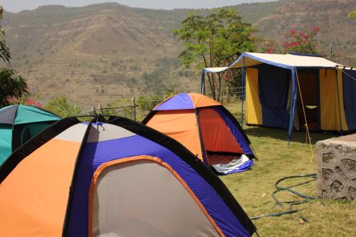 a group of tents in a field with mountains in the background at Avanti Kalagram Hill Top Resort, Mulshi in Kolvan