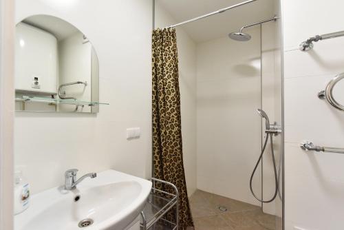 Gallery image of Baltieji Senamiesčio Apartamentai prie Aqua Parko in Druskininkai