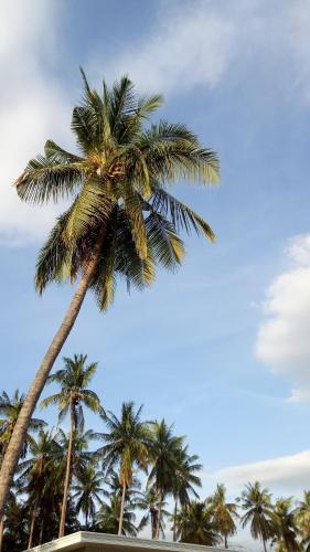 a group of palm trees against a blue sky at Kathleens Vacation Place in Moalboal