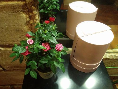 カリーニングラードにあるStary Dvorikのトイレ横のバラの花瓶