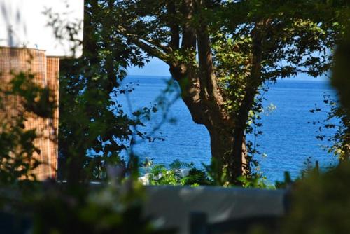 a view of a body of water with a tree at Archondissa Beach Aparthotel in Therma