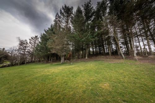 a grassy field with trees on top of it at The Sheiling B&B - NC 500 in Melvich