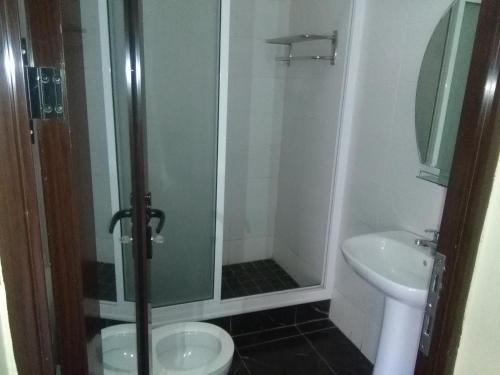a bathroom with a shower and a toilet and a sink at Le Victoria in Vila-de-Santiago-Maior