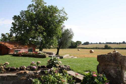Afbeelding uit fotogalerij van Ippocastano B&B in Viterbo