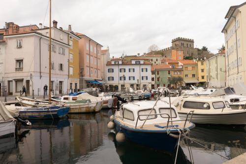 Gallery image of Casa Iaia in Muggia