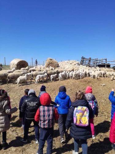 Fotografie z fotogalerie ubytování Bio Agriturismo Il Cavone v destinaci Sovana