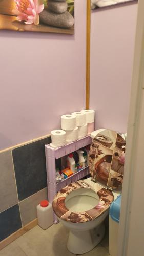 La salle de bains est pourvue de toilettes avec une étagère. dans l'établissement VOLCANS D'AUVERGNE - PONTAUMUR, à Pontaumur