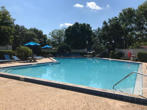 a large blue swimming pool with chairs and umbrellas at Robin's Nest in Orlando