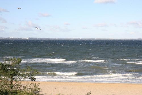 a bird flying over the ocean with a beach at Strandhuus - Urlaub aan de Ostsee in Timmendorfer Strand