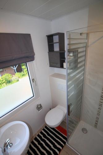 a bathroom with a toilet and a glass shower at Ferienhaus**** Wind und Wolke in Friedrichskoog-Spitz