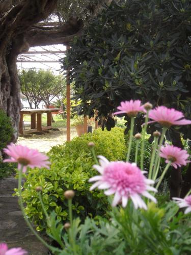 Gallery image of Locazione Turistica Casa in Campagna in Reggio Calabria