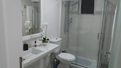 a bathroom with a shower and a toilet and a sink at Sunset House Azores in Ponta Delgada