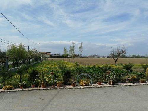 a garden with plants and flowers on the side of a road at LA CARLOTTINA in Codevigo