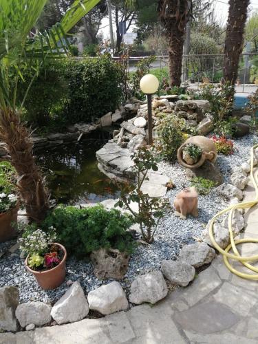 a garden with a pond and some plants and rocks at LA CARLOTTINA in Codevigo