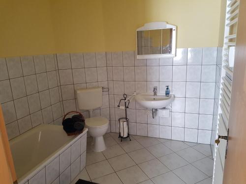 a bathroom with a toilet and a sink at Bärchenhof in Priestewitz
