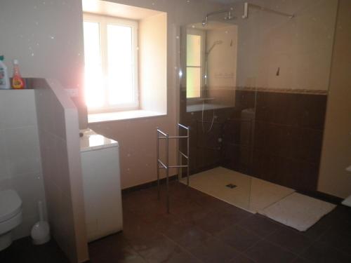 a bathroom with a shower and a toilet and a window at GITE DES ROCHES in La Roche-Vanneau