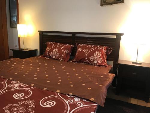 布加勒斯特的住宿－Mozart Ambient，一间卧室配有红色枕头的床