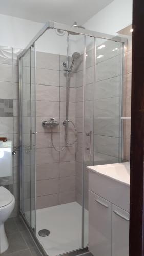 Murine的住宿－Apartment Marijana，浴室里设有玻璃门淋浴