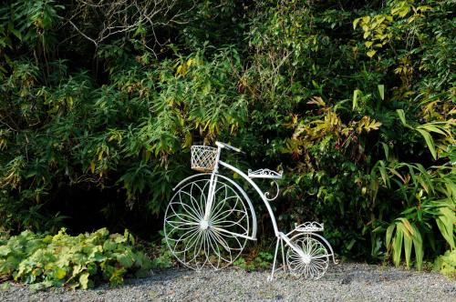 a white bike parked in front of a bush at Cashel House Hotel in Roundstone