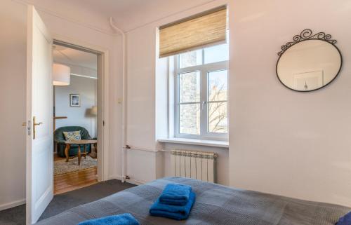 una camera da letto con un letto, uno specchio e una finestra di Old City Park Apartment a Riga