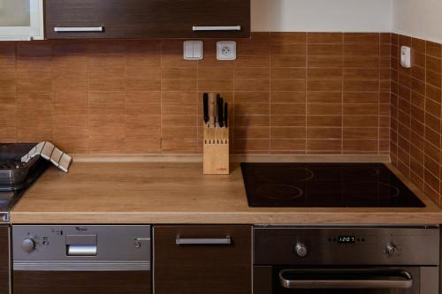 Kuchyň nebo kuchyňský kout v ubytování Apartmány Hrady
