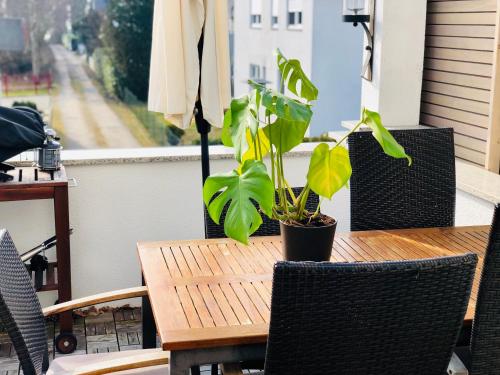 einem Holztisch mit Topfpflanze auf dem Balkon in der Unterkunft Wohlfühlloft Seekretzer mit privatem Seezugang in Friedrichshafen