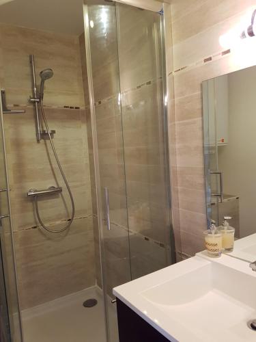 a bathroom with a shower with a glass door at Appartement 2 pièces rez-de-jardin à 2 pas de la plage et de la thalasso in Cabourg
