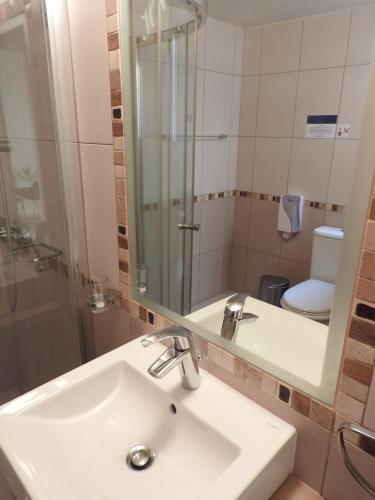 a bathroom with a sink and a mirror and a toilet at Hill View Hotel Apartments in Pissouri