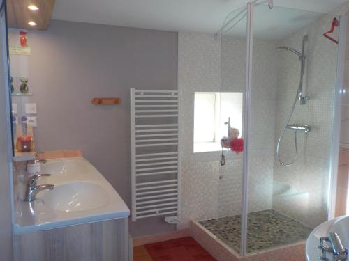 La salle de bains est pourvue d'un lavabo et d'une douche. dans l'établissement Au Coeur de la Nature, à Saint-Malo-du-Bois
