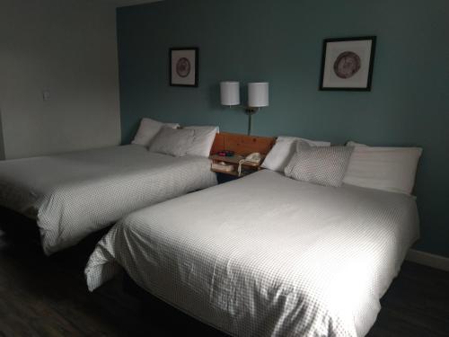 スミザーズにあるFireweed Motelのベッド2台が隣同士に設置された部屋です。