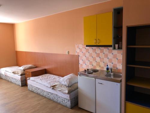 Kuchyňa alebo kuchynka v ubytovaní Apartments Stupava