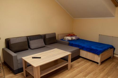 a living room with a couch and a table at Wonderful flat on city center (Mukachivska 4/17) in Uzhhorod