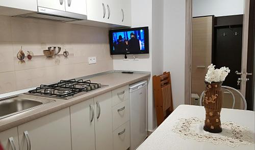a kitchen with a sink and a stove top oven at Garsoniera Jad in Tîrgu Ocna