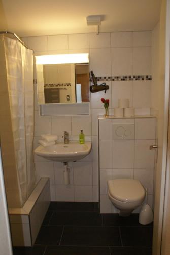 ein Badezimmer mit Waschbecken, Toilette und Spiegel in der Unterkunft Matten Central Studio in Matten