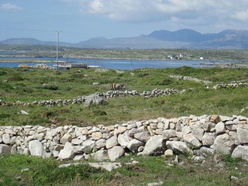 Gallery image of Earls View Maxi Pod in Carna