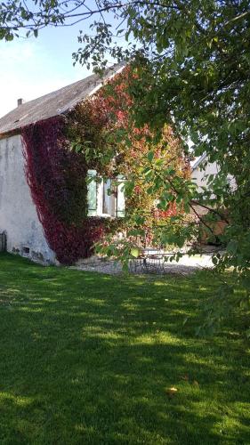 Zahrada ubytování Gîte Le Campagnard