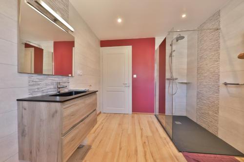 a bathroom with a sink and a shower at Locations des 3 sommets avec Sauna et Spa en Alsace in Sondernach