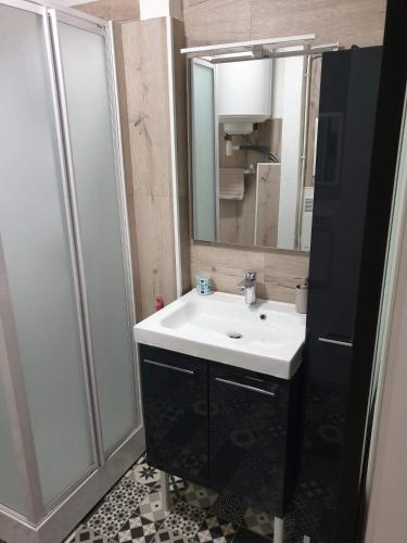 une salle de bain avec un lavabo blanc et une douche dans l'établissement Appartement Le Flobart - 50M plage - Terrasse, à Berck-sur-Mer