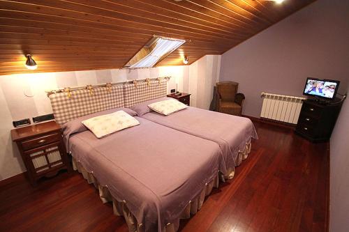 a bedroom with a large bed and a television at Casa Suarna in Navia de Suarna