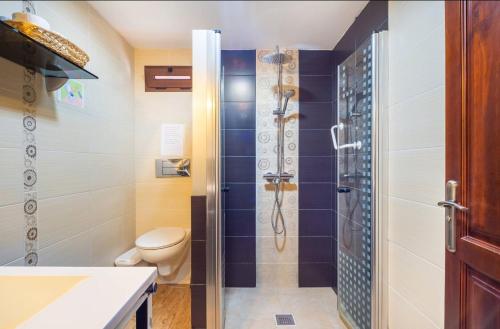 a bathroom with a shower with a toilet and a sink at Casa Roque Aguayro in Agüimes