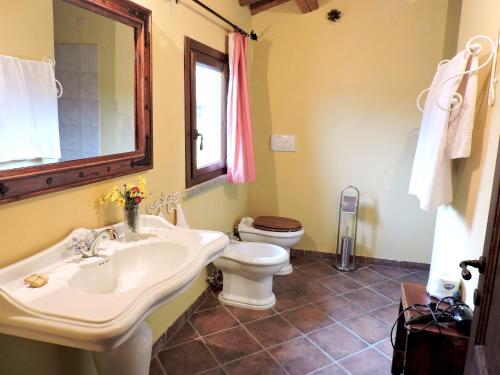 un bagno con lavandino, water e specchio di Casale Fedele Family Relax B&B Vicino al Borgo a Ronciglione
