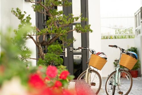 Ciclismo en HUA B&B o alrededores
