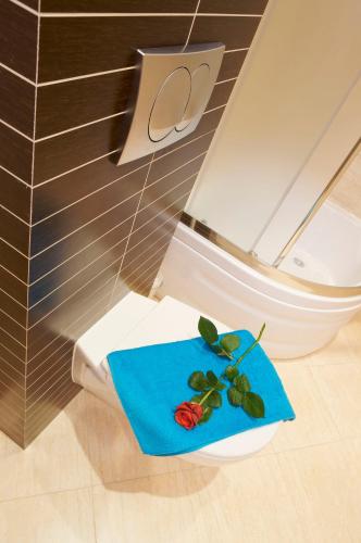 une salle de bain avec des toilettes et une serviette bleue dessus dans l'établissement Villa Star, à Międzyzdroje