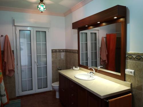 a bathroom with a sink and a mirror and a toilet at Villa Remedios in Cuevas del Becerro