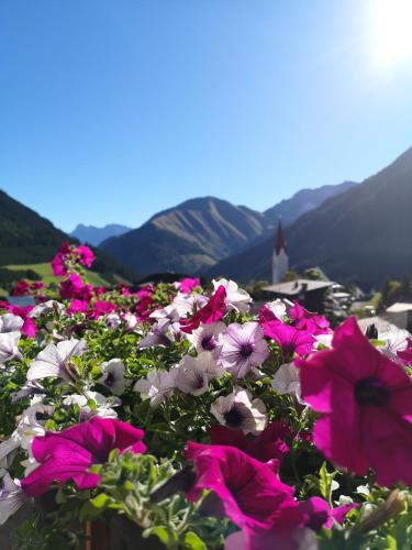 Gallery image of Alpen Apartments Austria in Berwang