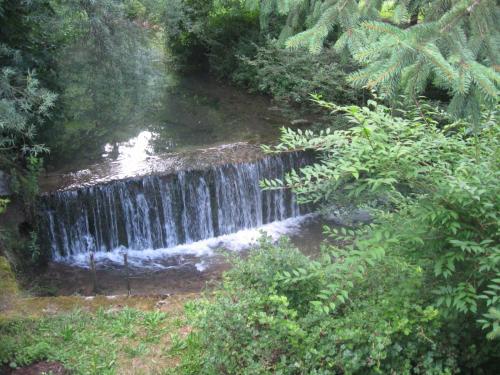a waterfall in the middle of a forest at Apartments Gubanec in Cerklje na Gorenjskem